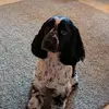 Nancy McDonald - @user278960715 - TikTok