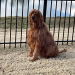 Nancy McDonald O'Brien - @nbmcdonald - Instagram