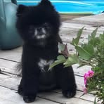 Nancy McFadden - Facebook