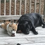 Nancy Mcfadden - Facebook