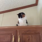 Nancy McGarry Ferrell - @ancynay21 - Instagram