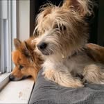 Nancy McGhee - @zuzughee - Instagram