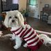 Nancy McGuire - Facebook