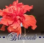 Nancy McIntire - Facebook