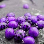 Nancy McIntire - @nancymcintire - Instagram