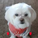 Nancy McIntire - Facebook