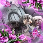 Nancy McKellar - Facebook