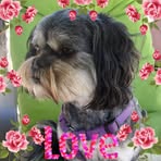 Nancy McKellar - Facebook
