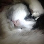 nancy mckenna - @nancymckenna56 - Instagram