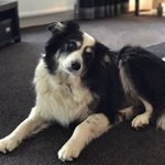 Nancy McKenna - @nancymckenna1 - Instagram