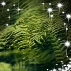 Nancy McMullen - Facebook
