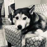 Nancy McMullen - @nancemcmullen - Instagram