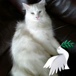Nancy McNaughton - @njmcnaughton - Instagram