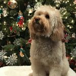 Nancy McNeese Monger - @nancymcneesemonger - Instagram