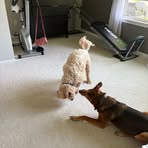 Nancy McNerney - Facebook