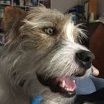 Nancy McNutt - @socandi6699 - Instagram