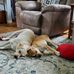 Nancy McNutt - Facebook