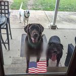 Nancy McSweeney - @mollycat1425 - Instagram