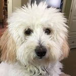 Nancy McSweeney - @stagensell - Instagram