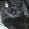Nancy McWilliams773 - @nancymcwilliams77 - TikTok