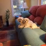 Nancy Meckstroth - @nancymeckstroth - Instagram