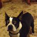 Nancy Medeiros - Facebook