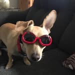 Nancy Mehl Dunton - @windseekerfaelkis - Instagram