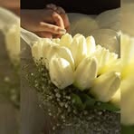 Nancy Mohamed - Facebook