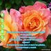 Nancy Melgar - Facebook