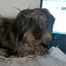 Nancy C Melucci - Facebook