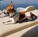 Nancy Melvin - Facebook