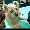 Nancy Meneses 💕 - @nancy.meneses61 - TikTok