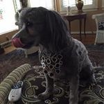 Nancy Merck - @nancymerck1939 - Instagram