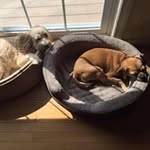 Nancy Mercurio - @mercurionancy - Instagram