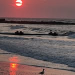 Nancy Merroth - @nancymerr - Instagram