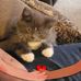 Nancy Mershon - Facebook