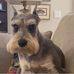 Nancy Mershon - Facebook