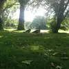 Nancy Meshel - @nancy.meshel - TikTok