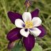 Nancy Mette - Facebook