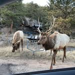 Nancy Meyer - @nancy.meyer.3367 - Instagram