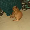 nancymeyer855 - @nancymeyer855 - TikTok