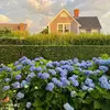 NancyMeyersInspired - @nancymeyersinspired - TikTok