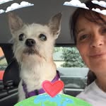 Nancy Miceli - @tuffy_95 - Instagram