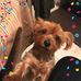 Nancy Miceli - Facebook