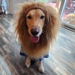 Nancy Michelson - @michelsonnancy - Instagram