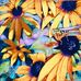 Nancy Michon - Facebook