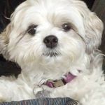 Nancy Mickelson Gough - @n.gough - Instagram