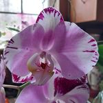 Nancy Hopper Milam - @nancymilam56 - Instagram