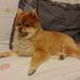 Nancy Milam - Facebook