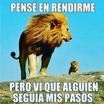 nancy miley dolores davila - @nancy_miley_dolores_davila_ - Instagram